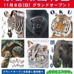岡崎 11月8日(日)「京都市動物園」グランドオープン!1日限定無料開放日【まち】【イベント】