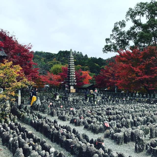 京都古寺散策 京都 閑静な西京エリアで古寺散策と紅葉散歩 | とっておきの京都