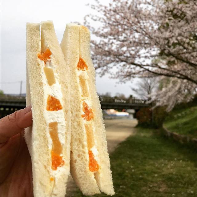 【京都パンめぐり】鴨川スグの老舗ベーカリー！焼きたてレトロパンでお花見モーニング☆「柳月堂」