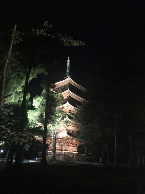 世界遺産「仁和寺」で初開催の青もみじライトアップ！