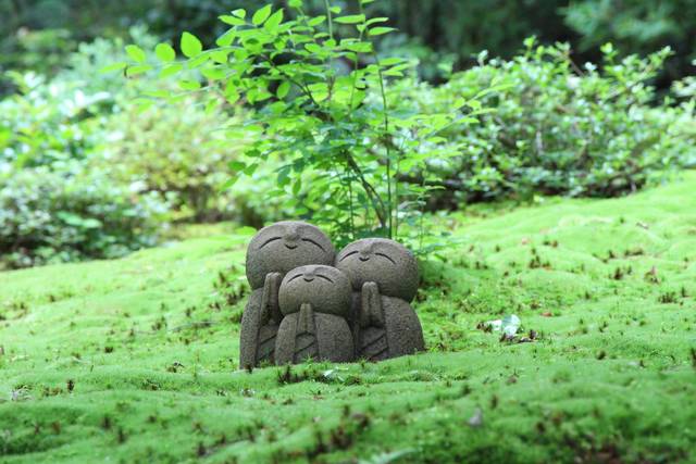 【京の写真旅】洛北詩仙堂の春〜おうちで京都旅行気分〜【一乗寺エリア】