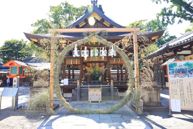 【茅の輪くぐり】今年は期間延長！7月5日まで茅の輪くぐりと花手水 いのちの和 の演出「護王神社」【京都花めぐり】