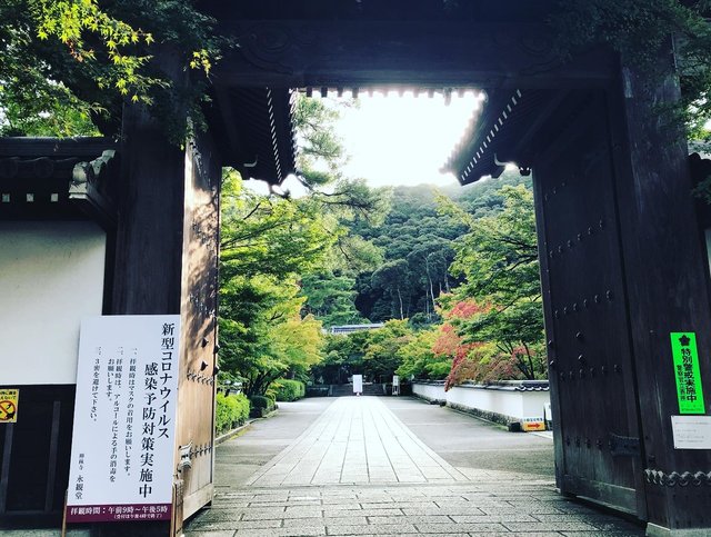 【2020京都紅葉最新】うっすら色づき始める紅葉名所をパトロール☆南禅寺～永観堂