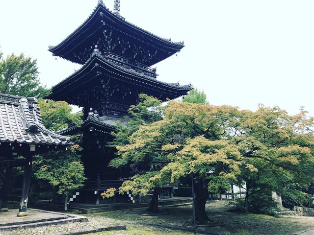 2020京都紅葉最新】昨年のJR東海『そうだ京都、行こう。』で注目