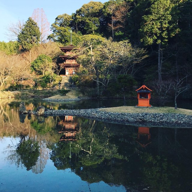 【秘境】仏像マニア＆ネコ好き必訪！京都最南端の人里離れた穴場寺院「浄瑠璃寺」