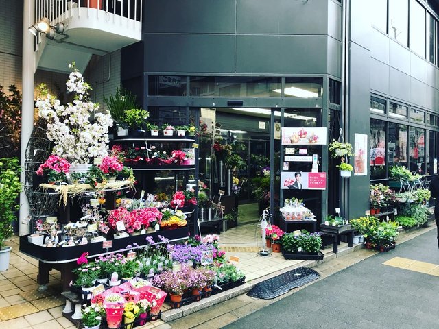 京都花 大切な人に花束を 華道家元御用達 いけばな発祥地前の老舗 花市商店 Kyotopi キョウトピ 京都観光情報 旅行 グルメ