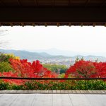 嵐山観光のプラスワンとして訪れたい「大河内山荘庭園」
