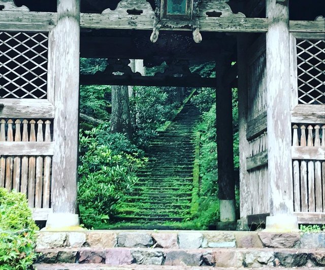 知る人ぞ知る京都秘境寺社仏閣☆ジブリ映画モデル～“日本の
