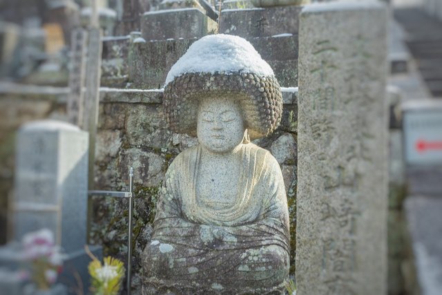 雪の京都2024】雪の帽子をかぶったアフロ仏像さんに会いたかった