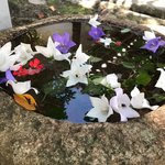 【保存版】京都オススメ“秋の花”名所☆紫式部＆陰陽師安倍晴明ゆかり、他【厳選５か所】