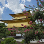 【京都花めぐり】京都観光の定番 夏の風景も美しい「世界遺産 金閣寺」