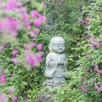 【京都花めぐり】待ちに待った秋の到来 秋の花「萩」の名所二選「勝念寺」「常林寺」