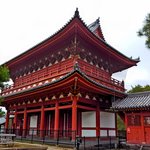 大迫力の雲龍図と広大な境内「妙心寺」と塔頭・退蔵院へ