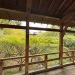 【2025京都紅葉パトロール】京都随一の紅葉名所☆天空から望むグラデーション「東福寺」