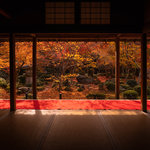 【京都紅葉】一度は見たい!美しい額縁紅葉と人気のお地蔵様に会える「圓光寺」