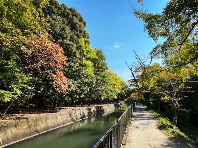 京焼乾山写新緑紅葉向付7客　　新品未使用　　最後の7客 嵐山の紅葉が美しすぎました。 #嵐山 #京都 #紅葉 #写真好きな人