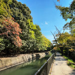 【2025京都紅葉最新】グラデーション進行中の名所!毘沙門堂~山科疏水~古墳・天智天皇陵