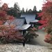 【京都紅葉】右京区のオススメ名所！嵐山渡月橋～仁和寺、高尾山神護寺、他【厳選7所】