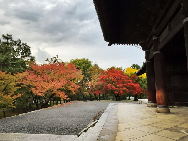 2025京都紅葉最新】錦秋グラデーション☆南禅寺天授庵～永観堂～哲学の