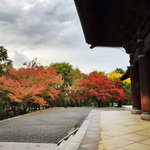 【2025京都紅葉最新】錦秋グラデーション☆南禅寺天授庵～永観堂～哲学の道～蹴上疏水他