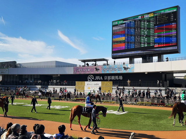 京都競馬場】武豊騎手熱演ドラマで注目！今年開設100周年☆週末はG1