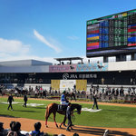 【京都競馬場】武豊騎手熱演ドラマで注目！今年開設100周年☆週末はG1エリザベス女王杯も