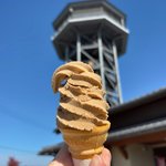 【京都チャリ活】CR休憩スポット！季節限定『栗ソフトクリーム』で一服「さくらであい館」