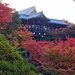 【2025京都紅葉】名所「東福寺」の早朝拝観で美しい紅葉をゆったり堪能