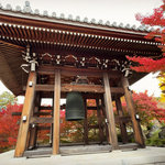 【2025京都紅葉】まさに見頃の東山エリア！養源院～智積院～東福寺～今熊野観音寺☆