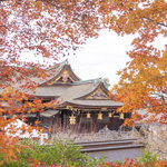 【京都紅葉2025】12/10(水)まで公開延長♪北野天満宮『史跡御土居のもみじ苑』