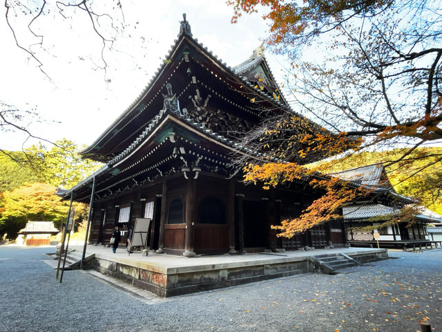 京都2025】絶世の美女と謳われた『楊貴妃観音』祀る☆皇室ゆかり静謐な