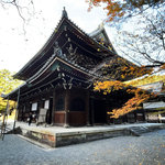 【京都2025】絶世の美女と謳われた『楊貴妃観音』祀る☆皇室ゆかり静謐な御寺「泉涌寺」