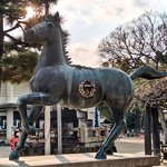 【京都】駆馬神事で知られる「藤森神社」　過去いちの大混雑にびっくり！　