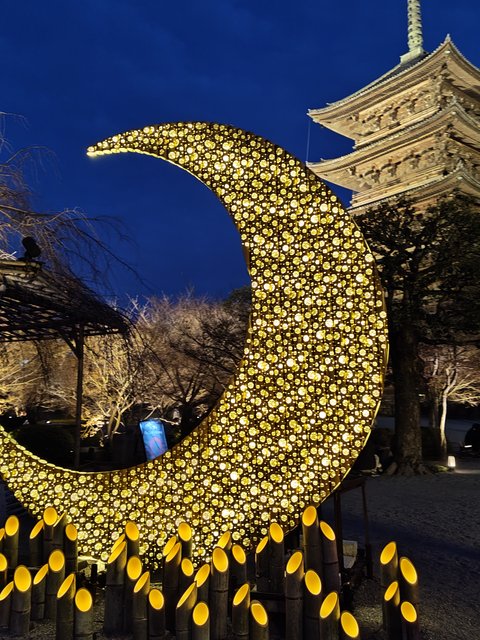 【京都ライトアップ】神々しいほどの美しさにうっとり「東寺月廻廊」