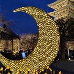 【京都ライトアップ】神々しいほどの美しさにうっとり「東寺月廻廊」