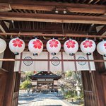 【京都】小さな春を見つけに！「平野神社」から「北野天満宮」へ