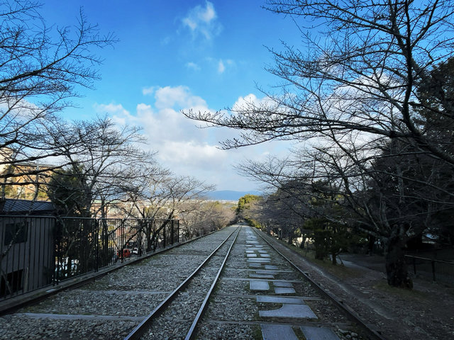 【京都桜最新2026】人気名所・蹴上インクライン＆南禅寺・実業家別荘エリアパトロール☆