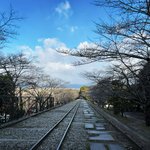 【京都桜最新2026】人気名所・蹴上インクライン＆南禅寺・実業家別荘エリアパトロール☆