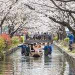 【京都】桜開花！「高瀬川さくら祭り」3/28(土)、29(日) 開催！【立誠ガーデンヒューリック京都】