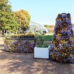 【京都の春】日本最古の公立植物館「京都府立植物園」で楽しめる花々