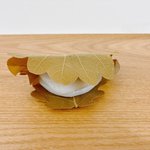 【京都和菓子】聖護院の静かな路地裏で出会った、お財布にも優しい穴場の和菓子店
