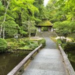 【京都新緑2026】苔と青もみじに包まれた静謐の空間！ひっそりと佇む名刹「法然院」