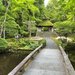 【京都新緑2026】苔と青もみじに包まれた静謐の空間！ひっそりと佇む名刹「法然院」