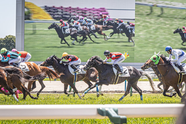 京都競馬場】超ビギナーズのための体験・見学ツアー☆「ゆんたび