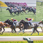 【京都競馬場】超ビギナーズのための体験・見学ツアー☆「ゆんたびツアーズ」