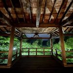 【京都観光】もみじの名所「東福寺」の夜が幻想空間に　青もみじ×光×音の特別体験