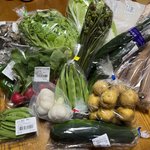 【京都直売所】初夏の珍しい地元野菜＆名残りの山菜が多彩！面白い切り花も「たわわ朝霧」