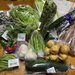 【京都直売所】初夏の珍しい地元野菜＆名残りの山菜が多彩！面白い切り花も「たわわ朝霧」