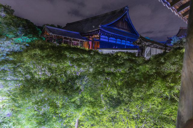 【京都夜観光】涼風と青もみじの雲海 音座禅の体験も「ZEN NIGHT 東福寺」