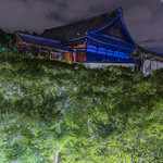 【京都夜観光】涼風と青もみじの雲海 音座禅の体験も「ZEN NIGHT 東福寺」